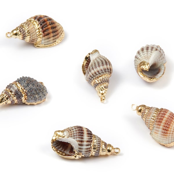Whelk Seashell Charms - Whelk Shell Pendant - Natural Seashell Earrings - 1 Hole - 23.16x11.51x10.7mm - SF1066