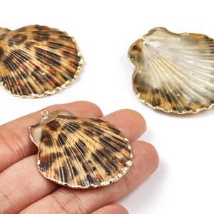Mussel Shell Charms - Seashell Earrings and Pendant - Gold Tone Plated Earrings - 1 Hole - 50.32x48.7x2.15mm - SF1011D image 1