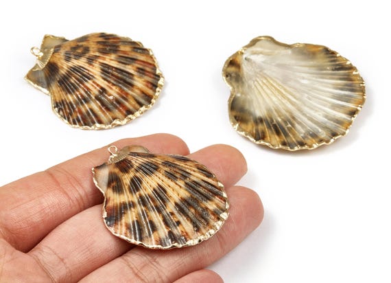 Mussel Shell Charms - Seashell Earrings and Pendant - Gold Tone Plated Earrings - 1 Hole - 50.32x48.7x2.15mm - SF1011D