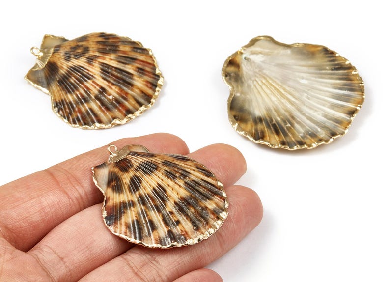 Mussel Shell Charms - Seashell Earrings and Pendant - Gold Tone Plated Earrings - 1 Hole - 50.32x48.7x2.15mm - SF1011D image 1