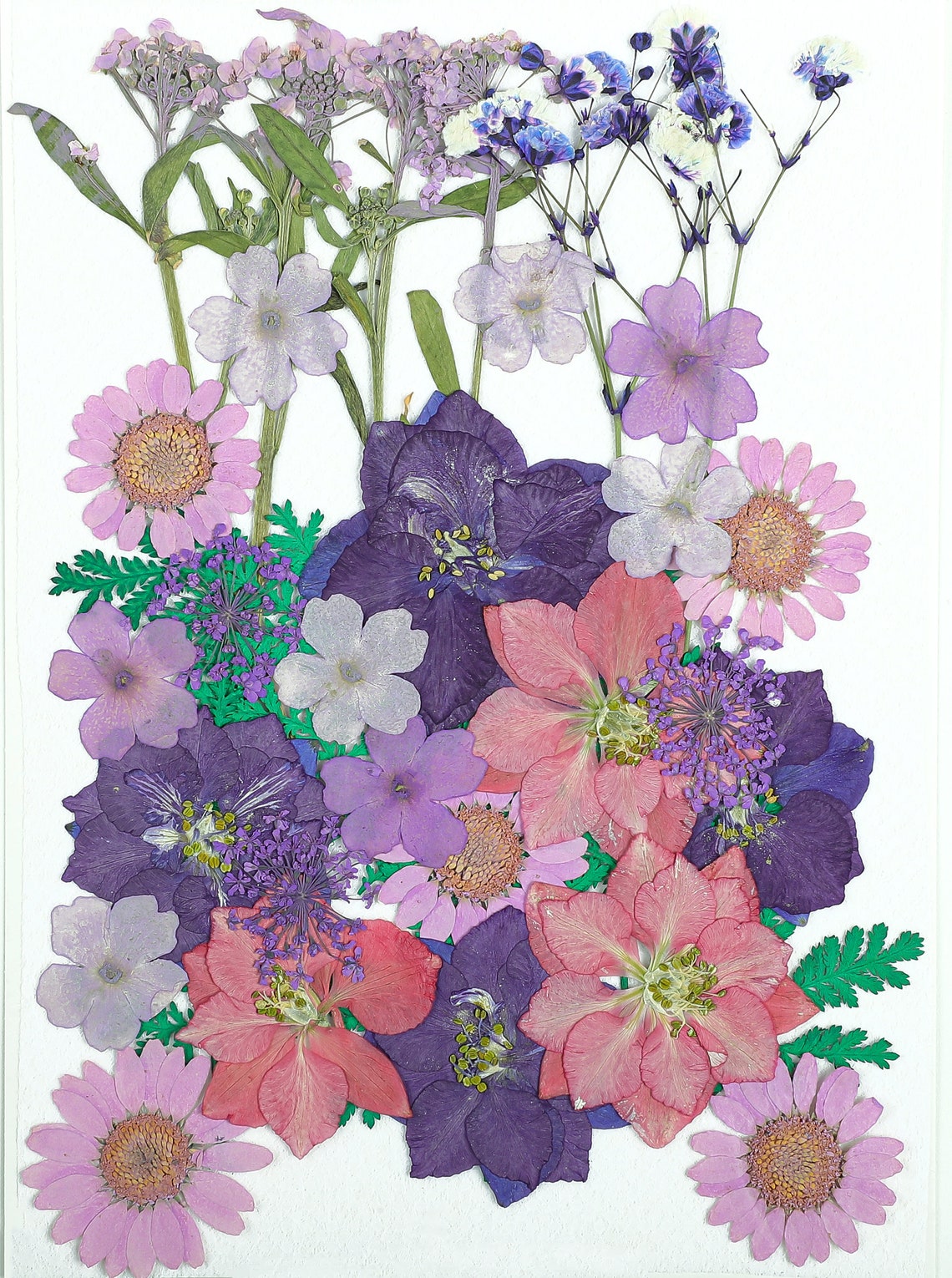 Dried Pressed Flowers for Crafts Pressed Flowers Mix Pack Etsy