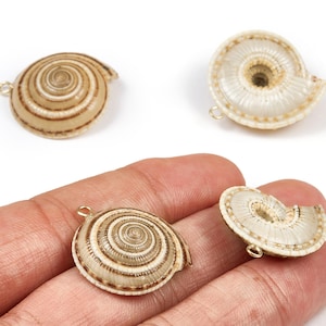 May include: Four seashell charms with a spiral design. The charms are beige and brown with a gold-coloured loop for attaching to jewellery. One charm is held in a hand. The background is white.