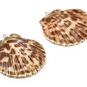 Mussel Shell Charms - Seashell Earrings and Pendant - Gold Tone Plated Earrings - 1 Hole - 50.32x48.7x2.15mm - SF1011C
