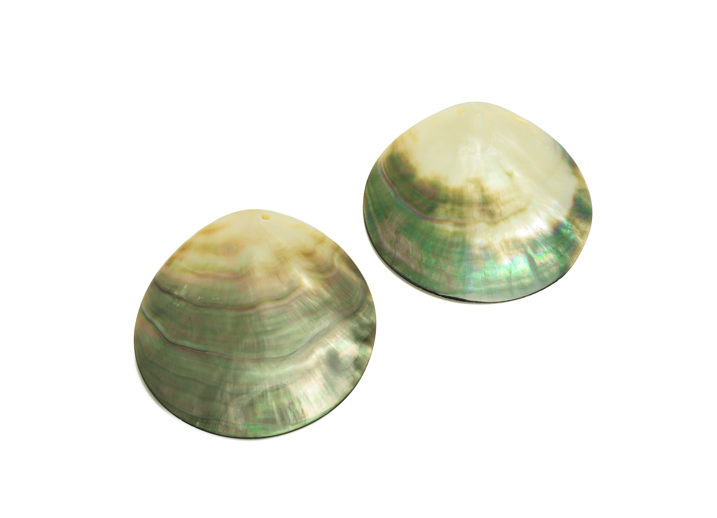 Schijf van natuurlijk parelmoer: ronde schelp van 50 mm voor het maken van sieraden - Nederland