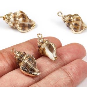 Könnte beinhalten: Goldfarbene Muschelanhänger mit braunen und weißen Mustern. Die Anhänger haben oben eine Schlaufe zur einfachen Befestigung an Schmuck oder anderen Bastelarbeiten. Die Muscheln sind detailliert und wirken realistisch.