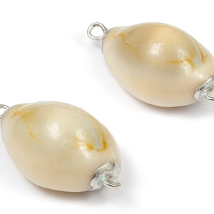 Cowrie Seashell Connector - Mussel Shell Earrings and Pendant - Silver Tone Plated Earrings - 2 Hole - 29.16x15.89x11.34mm - SF1057