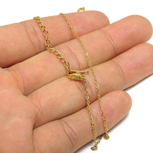 May include: A gold chain necklace with a lobster clasp closure.