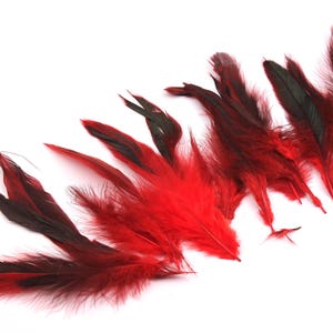 Naturliga röda tuppfjädrar, smycken, kostym, hantverksmaterial 12-15 cm FF1006