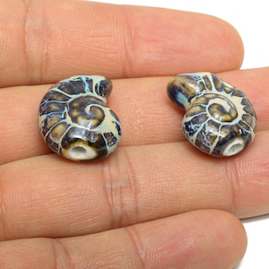 May include: Two ceramic spiral-shaped beads. The beads are a mix of cream, brown, and blue, with a glossy finish. Each bead has a hole for stringing. These beads are ideal for jewelry making.