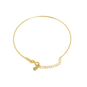 Puede incluir: Un brazalete dorado con una cadena delicada y un pequeño dije.