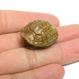 May include: A small, detailed turtle figurine with a textured, brown and green shell. The figurine is resting on a person's palm, showcasing its size and intricate design. The turtle's shell has a segmented pattern.