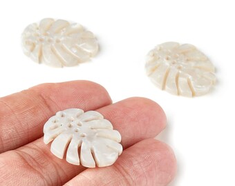 Zawieszki z octanu Monstera - kolczyki i wisiorki Monstera - elementy do kolczyków - kod koloru: A12 - 25,56 x 21,69 x 2,51 mm - AC1601-A12