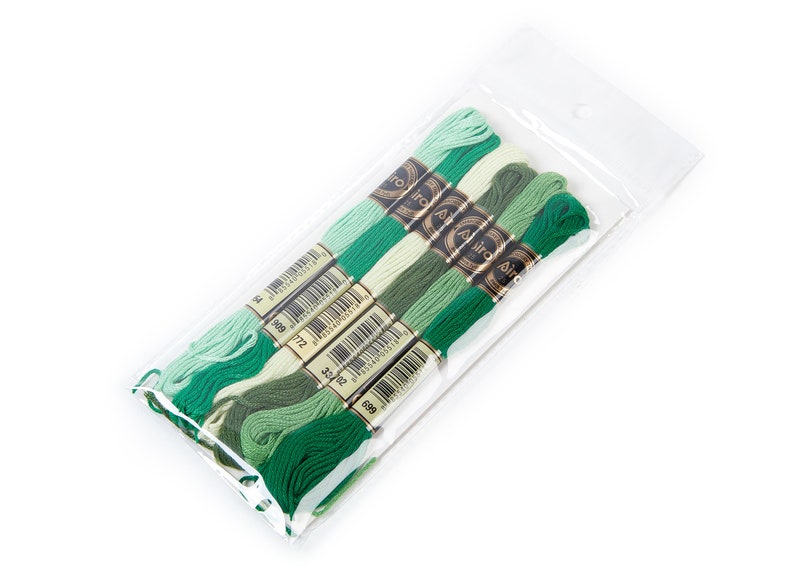 Embroidery Floss Set Embroidery Accessories Cross Stitch Floss 6 Skeins of 8 meters Embroidery Thread HM1015