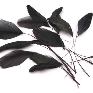 Stripped Rooster Feather - Black Plumage -(12-17cm)- Real Feathers for Jewelry, Costume,Millinery, Decoration, Crafts - 12 Pieces - FF1014BK