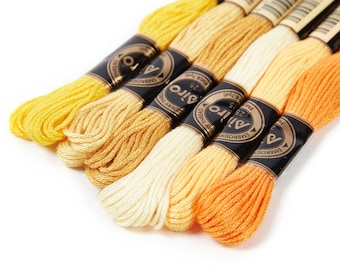 Embroidery Floss Set - 6 Skeins of 8 meters- Embroidery Thread - Cross Stitch Floss - Embroidery Accessories - HM1013