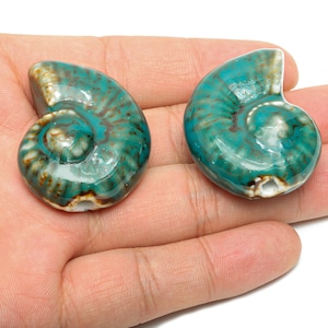 May include: Two ceramic nautilus shell figurines. The shells are a glossy teal color with brown and white accents. The spiral design is clearly visible. These decorative pieces are likely for home decor or a nautical-themed collection.