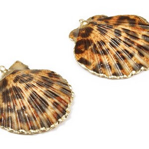 Mussel Shell Charms - Seashell Earrings and Pendant - Gold Tone Plated Earrings - 1 Hole - 50.32x48.7x2.15mm - SF1011D image 2