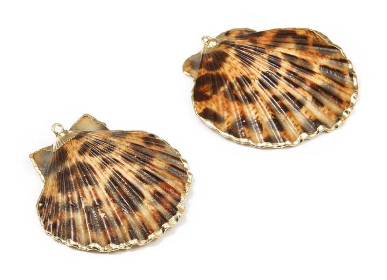 Mussel Shell Charms - Seashell Earrings and Pendant - Gold Tone Plated Earrings - 1 Hole - 50.32x48.7x2.15mm - SF1011D image 2