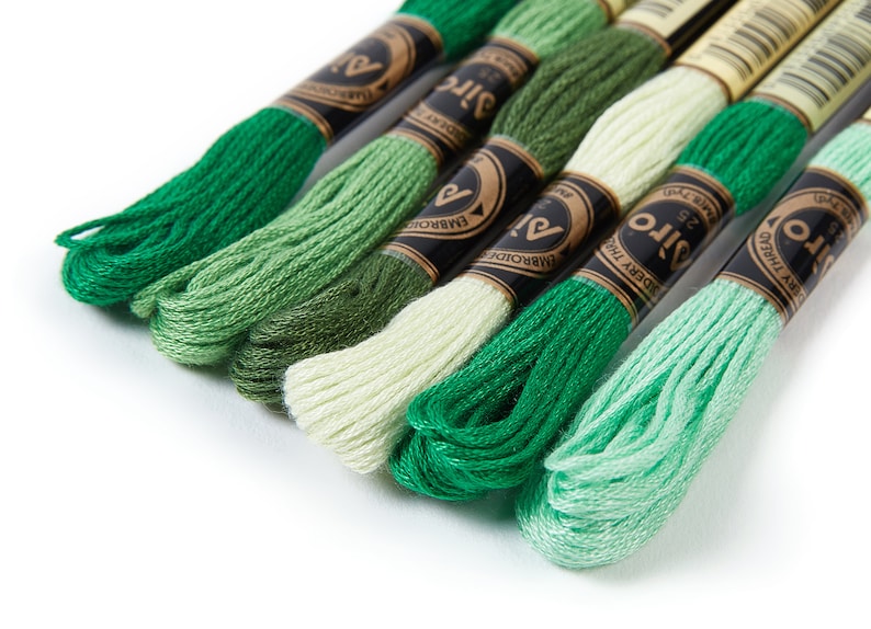 Embroidery Floss Set Embroidery Accessories Cross Stitch Floss 6 Skeins of 8 meters Embroidery Thread HM1015