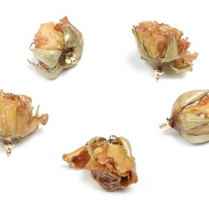 Brass Rose Model Earring Charms -Real Flower Pendant - Dried Real Flower Pendant -Rose Model Earring Charms – 23.98x24.84x23.84mm - RC1196