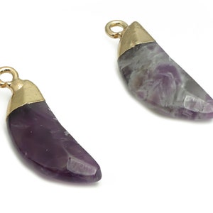 Può includere: Due ciondoli in ametista con cappucci e anelli dorati. I ciondoli hanno una forma a mezzaluna e sono un mix di viola e bianco. I cappucci dorati aggiungono un tocco di eleganza alla pietra naturale.