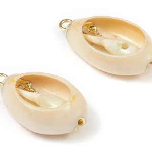 Open Cowrie Charms - Cut Open Cowrie Seashell Earrings and Pendant - Natural Seashell Earrings - 1 Holes - 23.74x13.34x6.55mm - SF1054