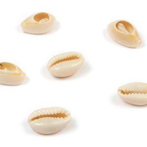 Open Cowrie Charms - Mussel Shell Earrings - Cut Open Seashell Pendant - Natural Seashell Earrings - 13.26x9.06x4.48mm - SF1047
