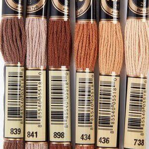 May include: Six spools of embroidery floss in various shades of brown, beige, and peach. The spools are labeled with numbers: 839, 841, 898, 434, 436, and 738.