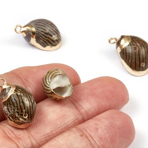 Könnte beinhalten: Kleine, dekorative Muschelanhänger mit goldfarbenen Akzenten. Die Anhänger haben ein gestreiftes Muster in Braun- und Beigetönen. Ein Anhänger ist offen und zeigt das Innere. Jeder Anhänger hat eine kleine Schlaufe zum Befestigen.