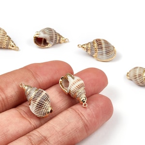 Könnte beinhalten: Mehrere kleine Muschelanhänger mit goldfarbenen Akzenten. Die Muscheln haben ein natürliches, gestreiftes Muster in Braun- und Cremetönen. Jeder Anhänger hat eine kleine Schlaufe zum Befestigen an Schmuck oder anderen Bastelarbeiten.