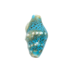 Ceramic Shell Beads - Craft Beads for Necklace or Bracelet - Blue Rustic Coastal Bead - Textured Making Supplies - 20x11x10.73mm - NS2775I