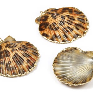 Mussel Shell Charms - Seashell Earrings and Pendant - Gold Tone Plated Earrings - 1 Hole - 50.32x48.7x2.15mm - SF1011D image 3