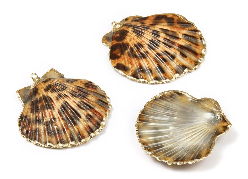 Mussel Shell Charms - Seashell Earrings and Pendant - Gold Tone Plated Earrings - 1 Hole - 50.32x48.7x2.15mm - SF1011D image 3