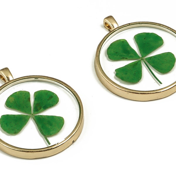 Epoxy Resin Round Real Flower Earring Charms - Epoxy Resin 4 Clover Pendant - Gold Tone Plated Alloy - 34.64x28.98x4.5mm - ZZ1829