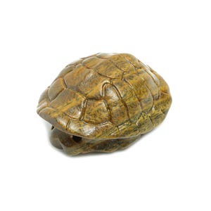 May include: A carved wooden turtle figurine with a brown and green shell. The turtle is in a closed position with its head and legs tucked inside.