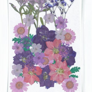Fleurs pressées séchées pour l’artisanat - Pack de mélange de fleurs pressées - Art floral pressé à sec - Vraies fleurs séchées - Fabrication de cartes - 145x106mm - HM1027