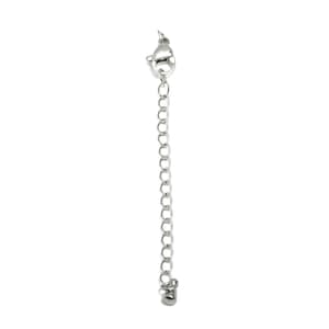 May include: A silver extender chain with a lobster clasp on one end and a jump ring on the other.