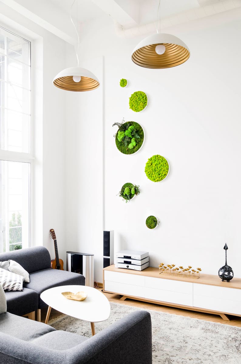Preserved Scandinavian Moss Circle Picture Moss Wall Art Etsy
