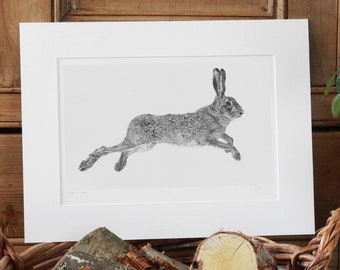 Hare Art Print Giclee Limited Edition