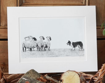 Giclée d'impression d'art sur troupeau de moutons, édition limitée