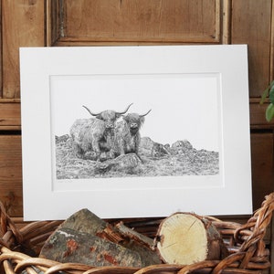Highland Cattle Coo Art Print Limited Edition Giclee image 1