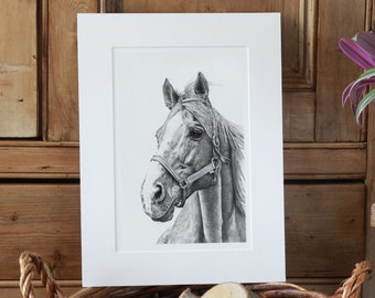 Horse Art Print Giclee Limited Edition
