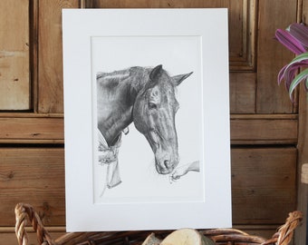 Horse Art Print Giclee Limited Edition