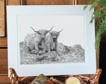 Highland Cattle Coo's Art Print Limited Edition Giclee