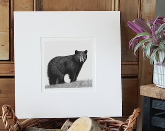 Bear Art Print Giclee Limited Edition