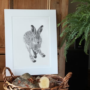 Hare Art Print Giclee Limited Edition image 1