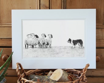 Élevage de moutons Art Print Giclee Limited Edition