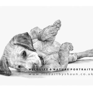 Labrador Puppy Art Print Limited Edition Giclee image 2