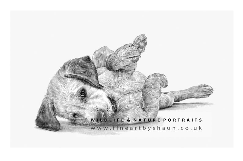 Labrador Puppy Art Print Limited Edition Giclee image 2