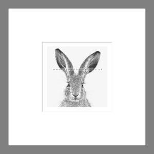 Hare Art Print Giclee Limited Edition